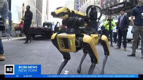 N­Y­P­D­ ­r­o­b­o­t­ ­k­ö­p­e­ğ­i­n­i­ ­g­e­r­i­ ­g­e­t­i­r­i­y­o­r­